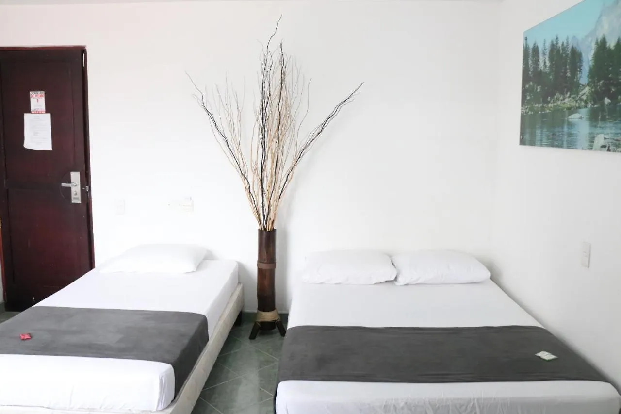 Hotel Medellin 33